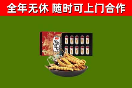 上虞烟酒回收冬虫夏草礼盒.jpg